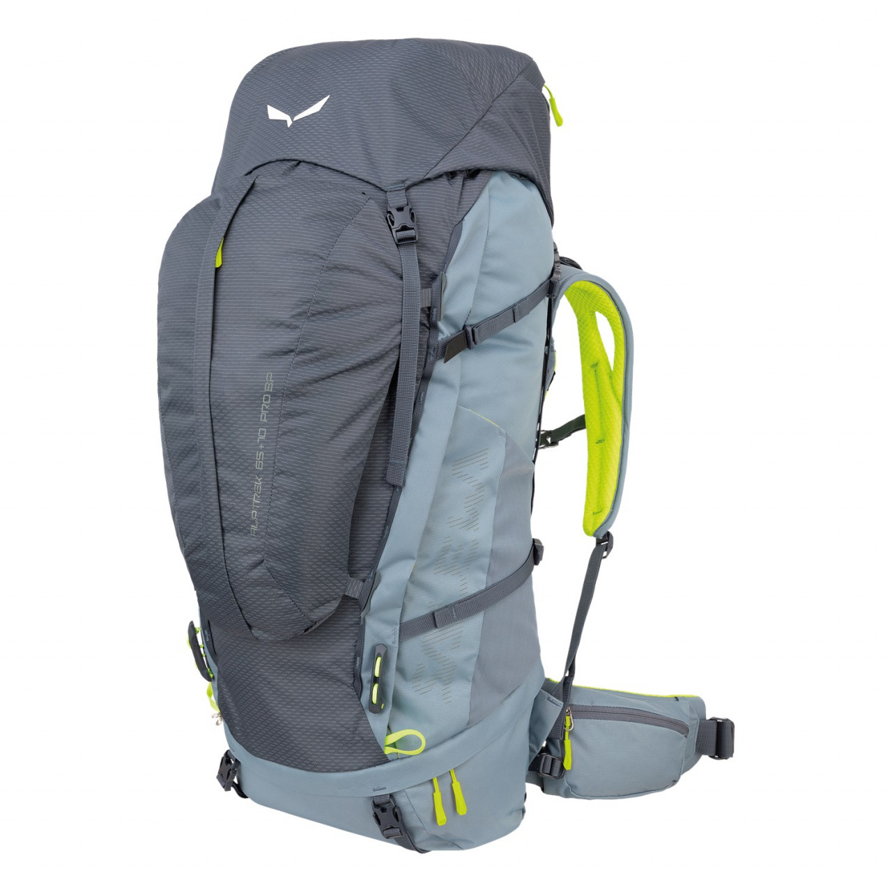 Salewa Alptrek 65+10 L Pro Sırt Çantası Gri/Mavi/Gri Türkiye 593184IDZ